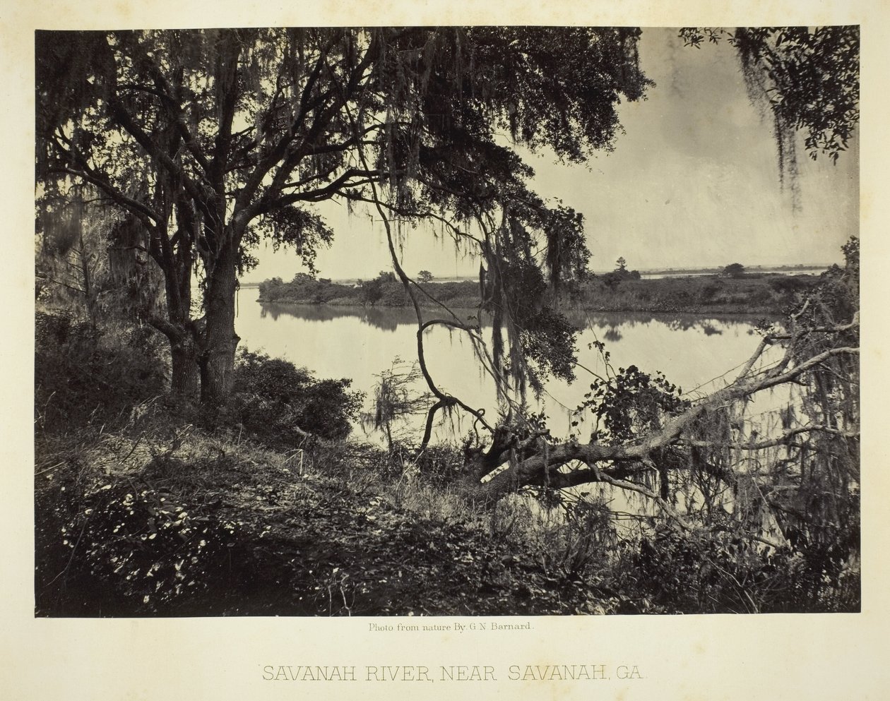 Fiume Savannah, vicino a Savannah, GA da George N. Barnard