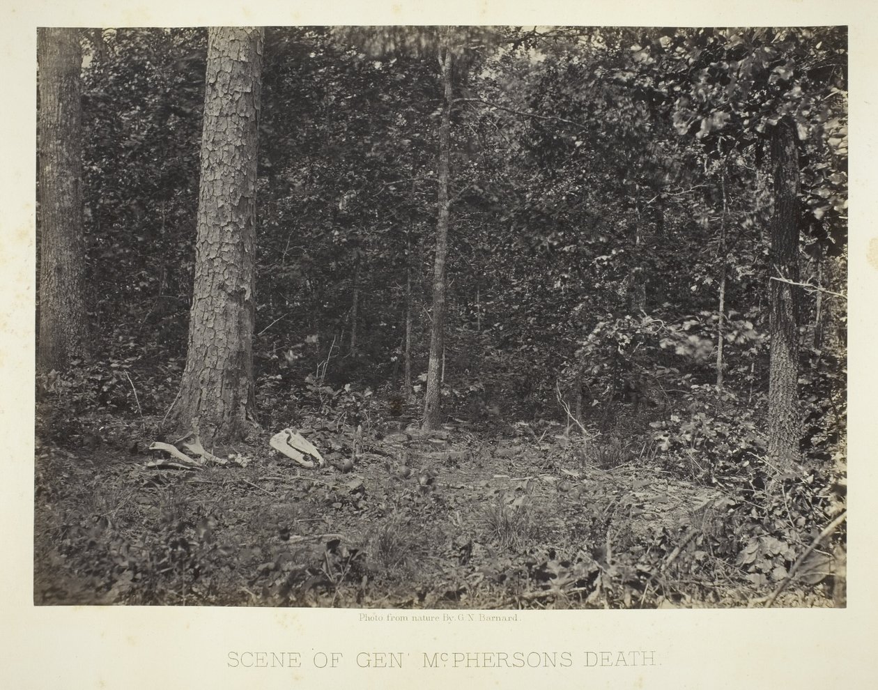 Scena della morte del generale McPhersons da George N. Barnard