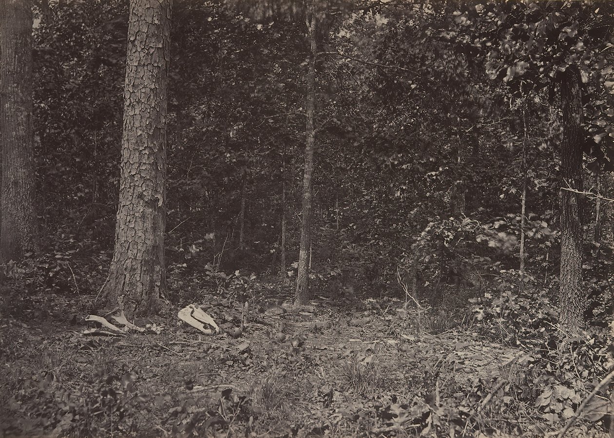 Scena della morte del generale McPherson, 1864 o 1866 da George N. Barnard