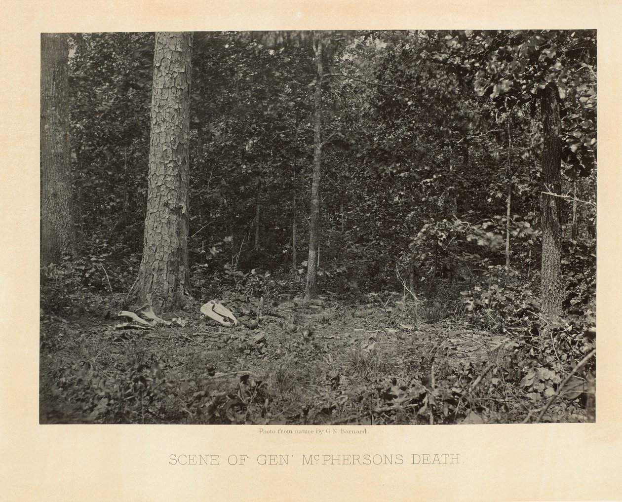 Scena della Morte del Generale McPherson, Georgia, da Vedute Fotografiche della Campagna di Sherman da George N. Barnard