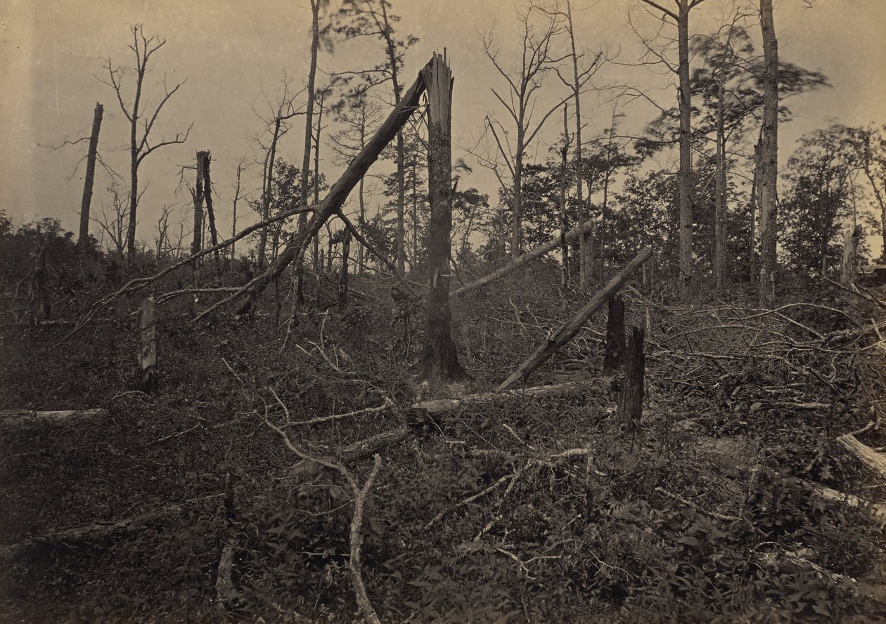 La chiesa "Hell Hole" di New Hope, in Georgia da George N. Barnard