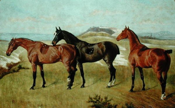 Tre cavalli: Whissendine, Swallow e Tiptop da George Paice