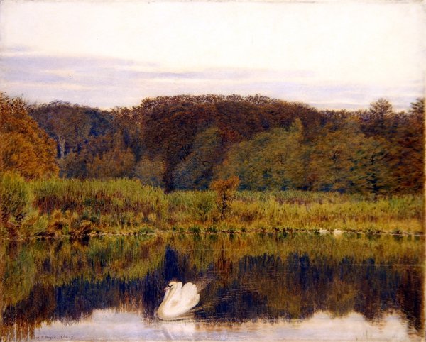 Stagno del mulino di Abinger, Surrey - Mattina in tardo autunno da George Price Boyce