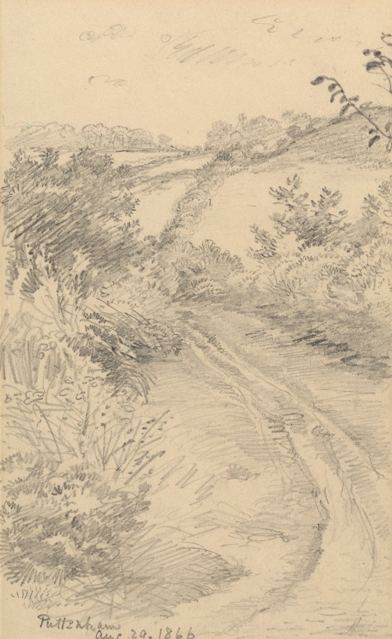 Un sentiero cespuglioso con un campo oltre da George Richmond