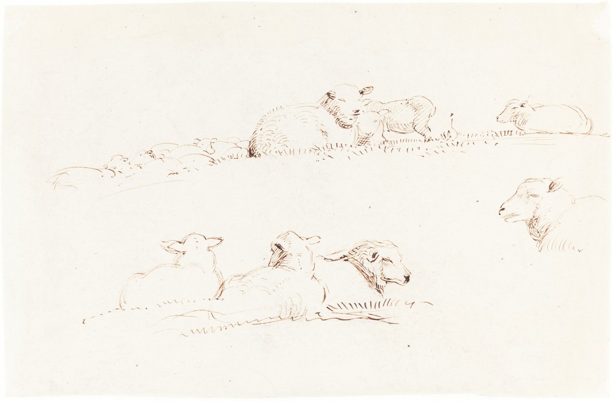 Studi di Pecore al Pascolo da George Richmond