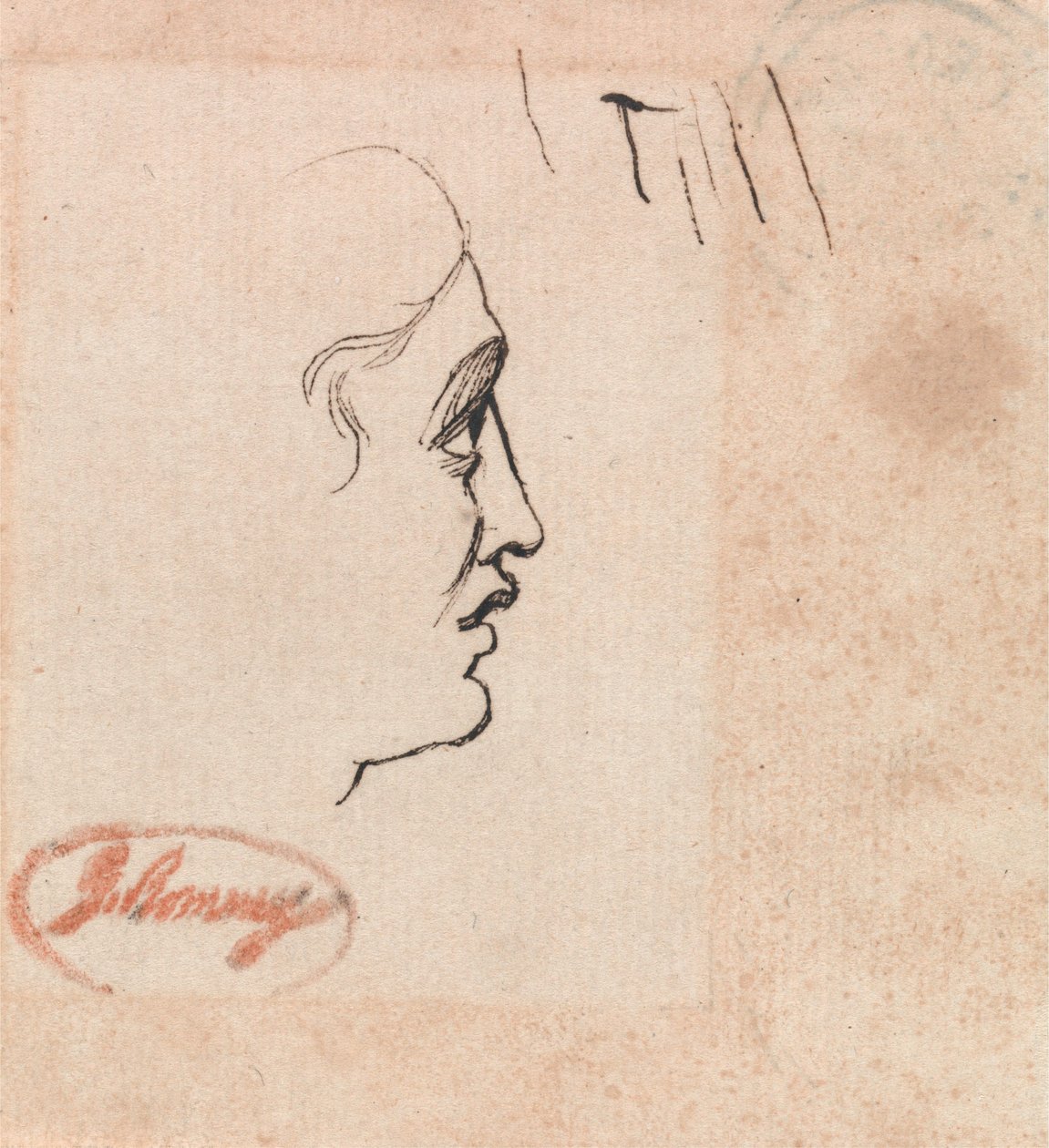 Testa di un giovane da George Romney