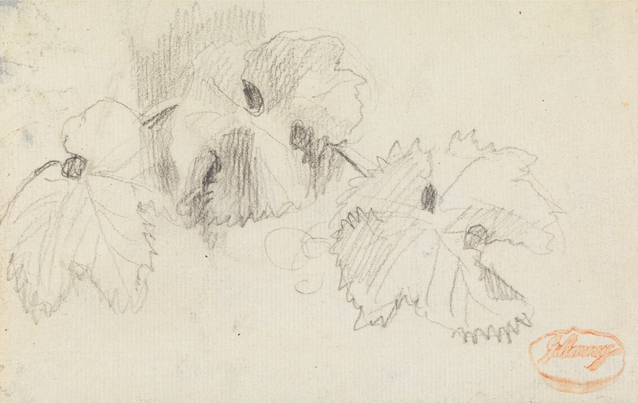 Studio delle foglie 1 da George Romney