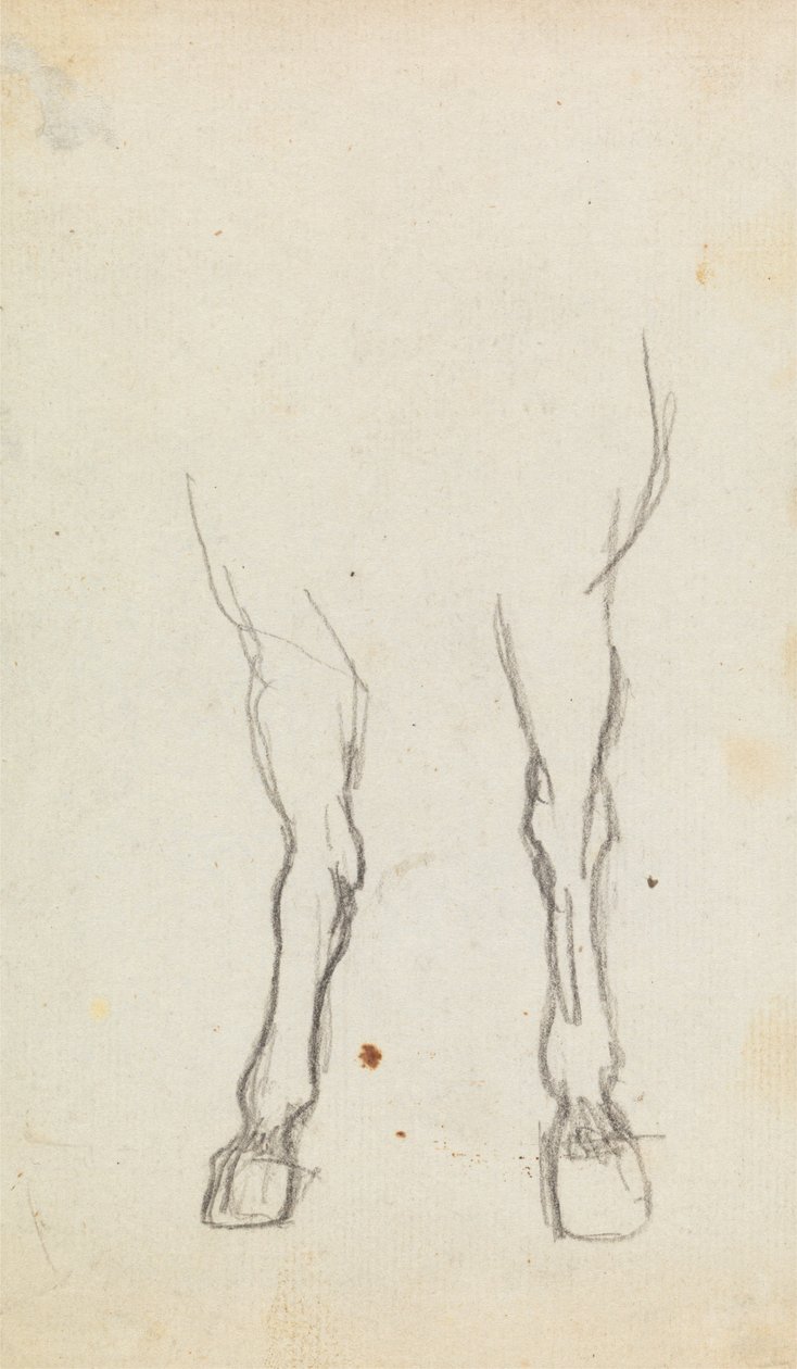 Studio delle zampe anteriori di un cavallo da George Romney