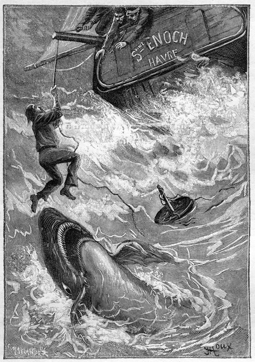 Romanzo di Jules Verne “Les histoires de Jean-Marie Cabidoulin” (1901), Collezione Hetzel/Extraordinaries, illustrazione di George Roux. “Scena marittima: marinaio attaccato da uno squalo nell