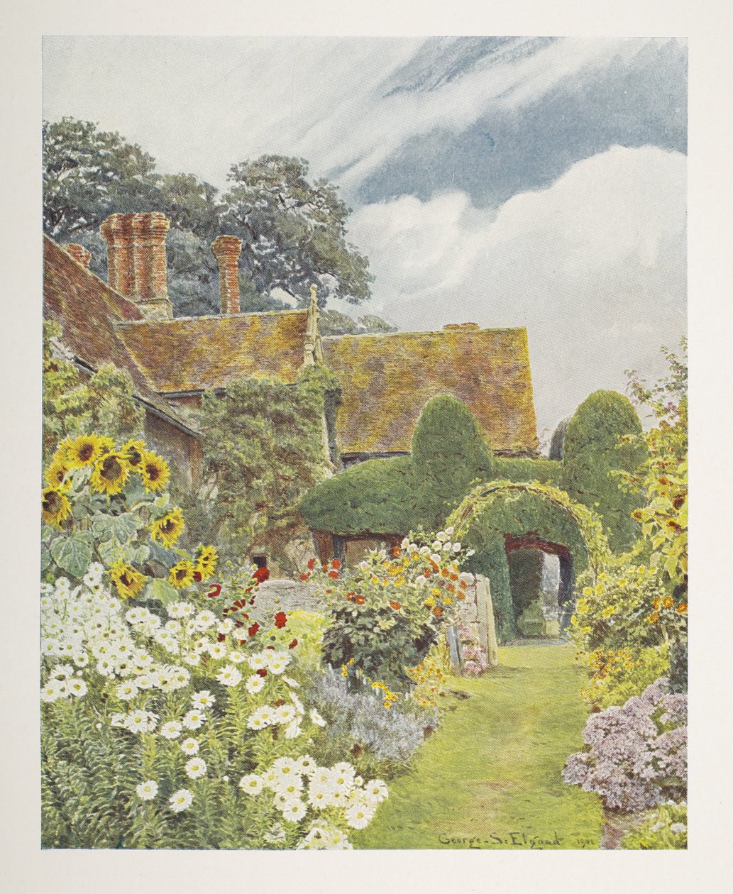 Cleeve Prior, Girasoli, illustrazione in 