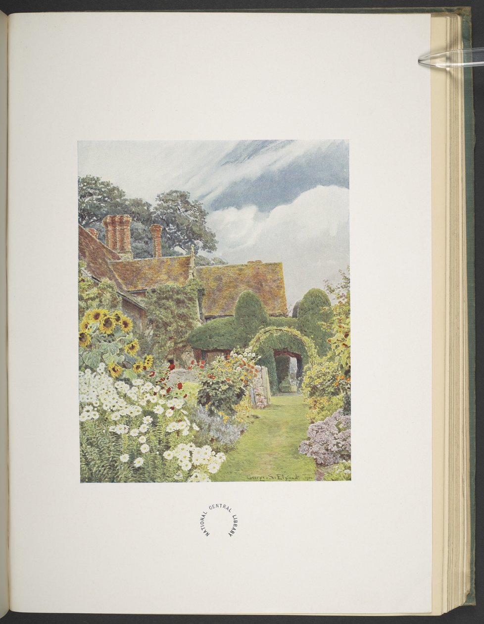 Cleeve Prior, Girasoli, illustrazione in 