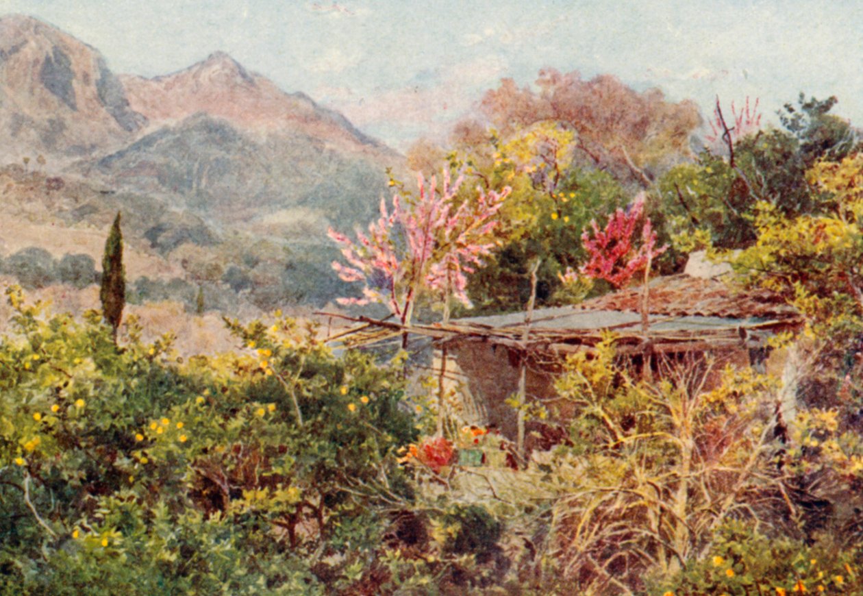 Aranciera, Mentone (litografia a colori) da George Samuel Elgood
