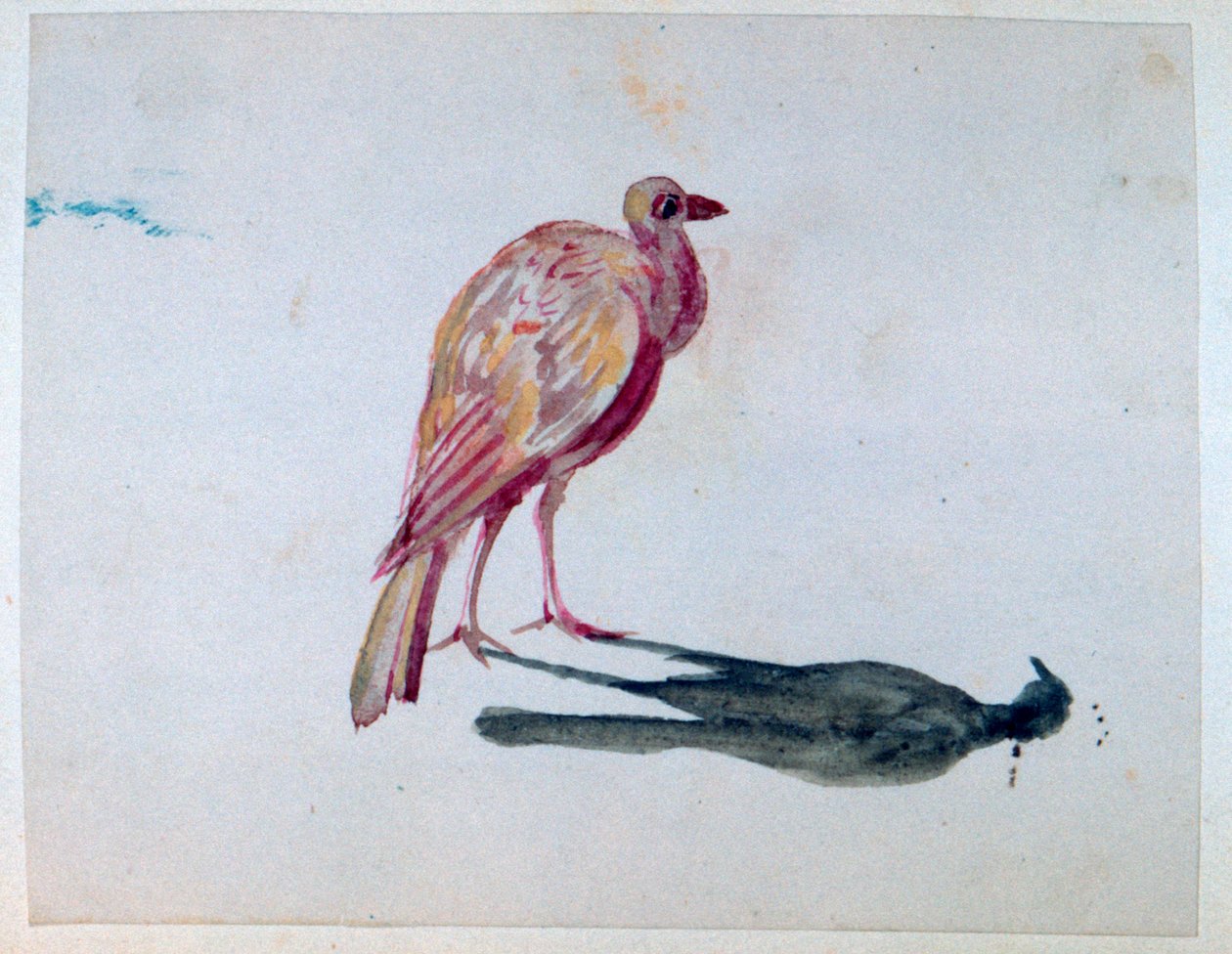Uccello da George Sand