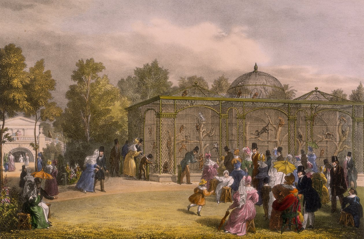 La Casa delle Scimmie ai Giardini Zoologici, Regent