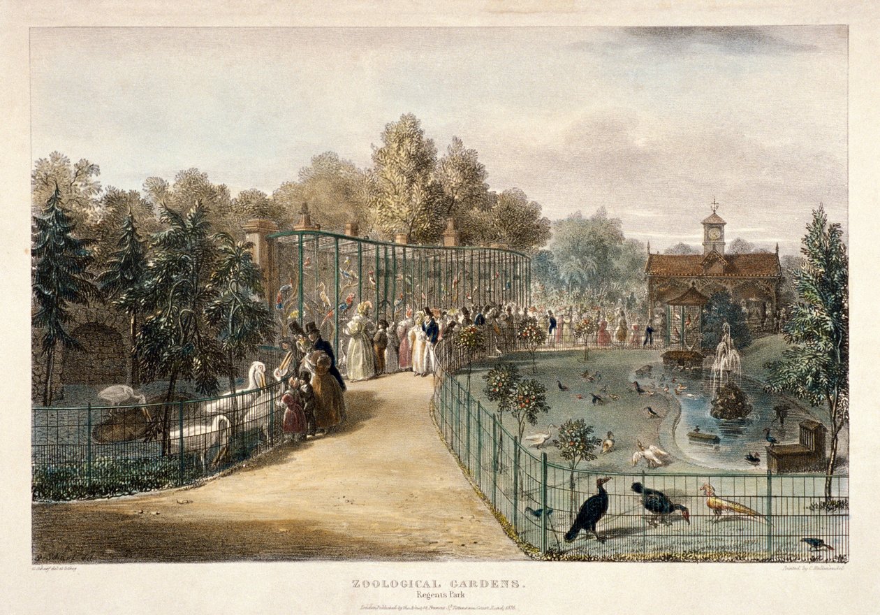 Giardini zoologici, Regent