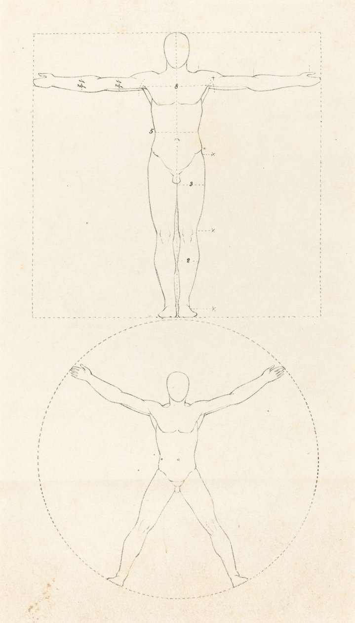 Cerchio e quadrato della figura umana da George Scharf after John Flaxman