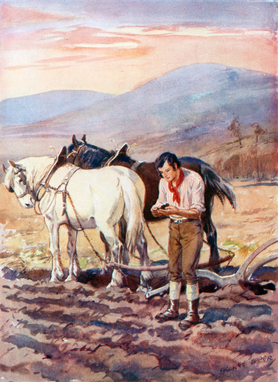 Robert Burns all