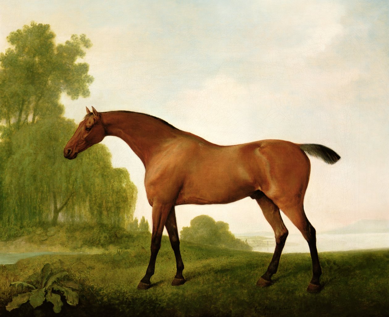 Un purosangue baio in un paesaggio da George Stubbs