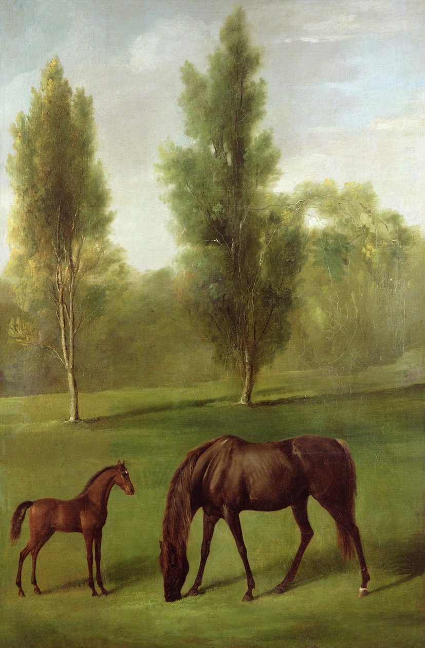 Una cavalla castana e un puledro in un paesaggio boscoso, c.1761-63 da George Stubbs
