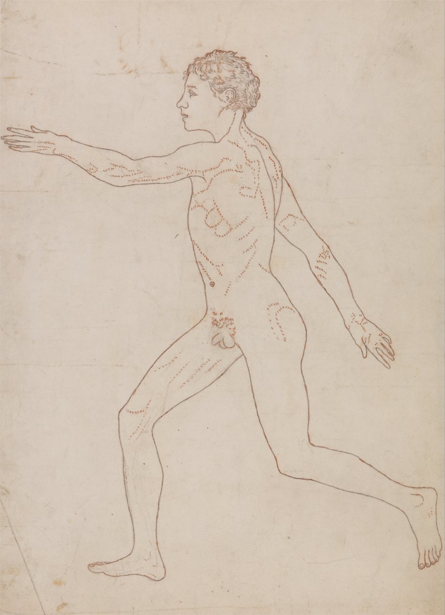 Esposizione anatomica comparata della struttura del corpo umano con quella di una tigre e di un uccello comune: Figura umana, vista laterale (studio schematico al contrario della Tavola VIII) da George Stubbs
