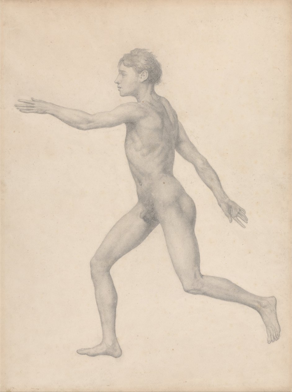 Esposizione anatomica comparata della struttura del corpo umano con quella di una tigre e di un uccello comune: Figura umana, vista laterale, non sezionata (Studio finito per la Tavola VIII) da George Stubbs