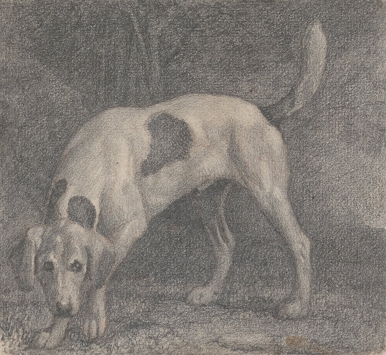 Un segugio sulla pista da George Stubbs