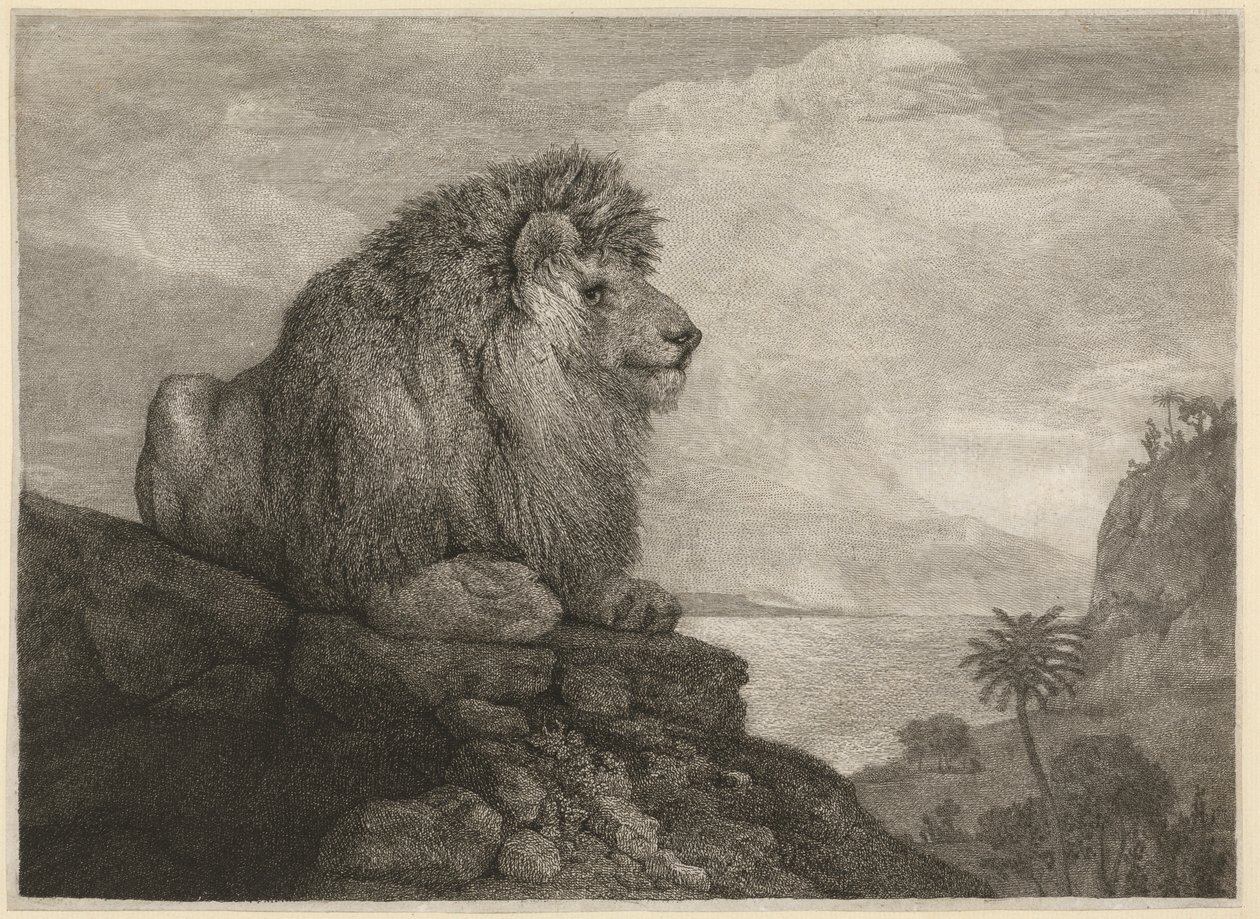 Un leone [Un leone che riposa su una roccia] da George Stubbs