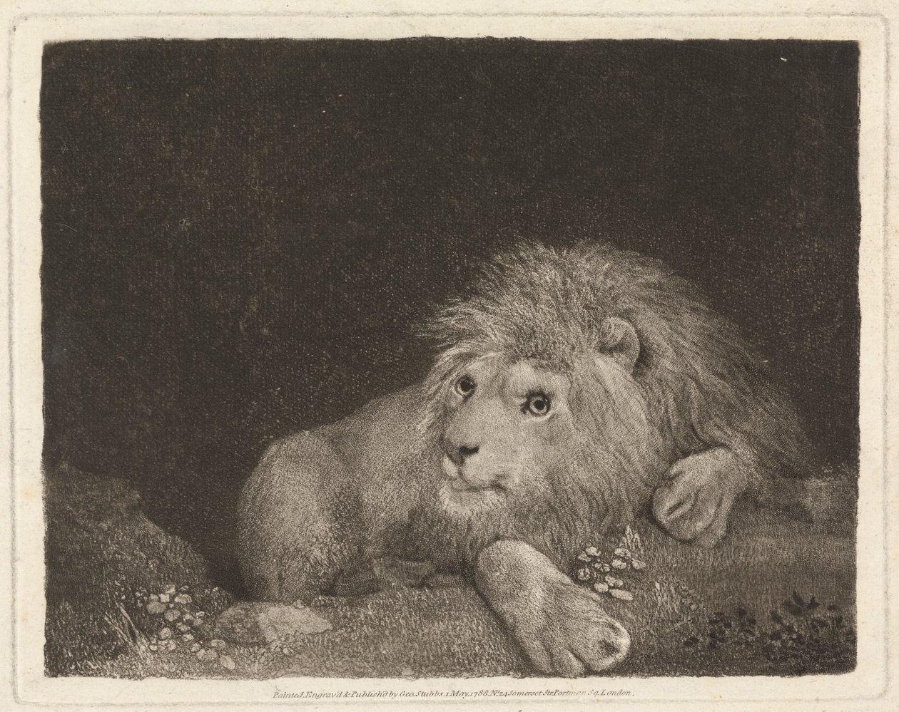 Un leone (un leone sdraiato) da George Stubbs