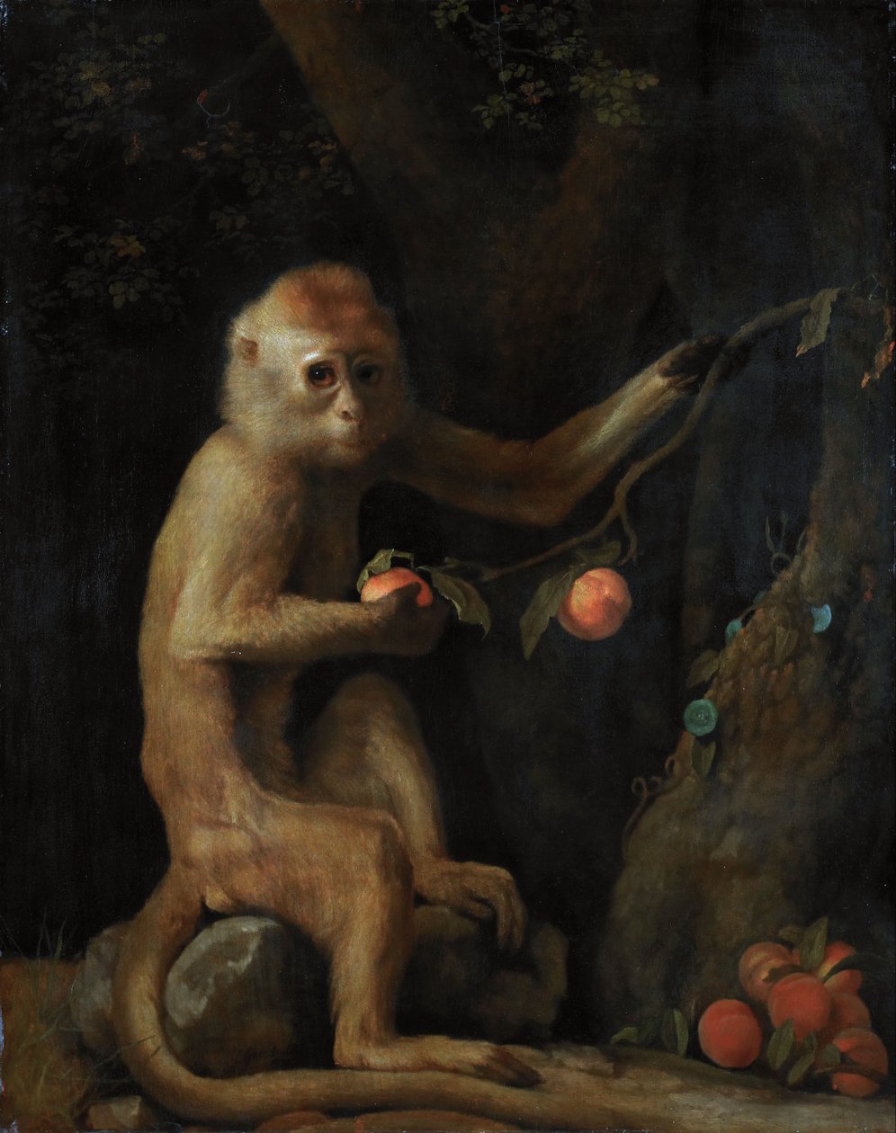 Una scimmia da George Stubbs