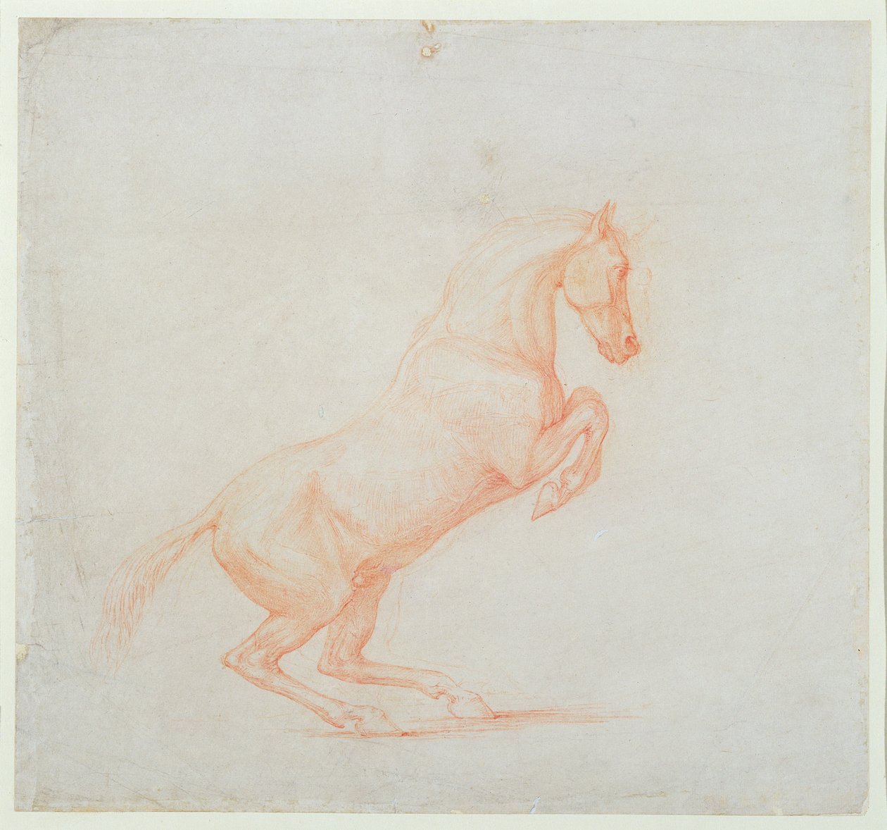 Un cavallo impennato, rivolto a destra, 1790 da George Stubbs