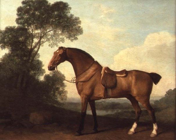 Un Cavallo da Caccia Sellato in un Paesaggio con un Lago Oltre da George Stubbs