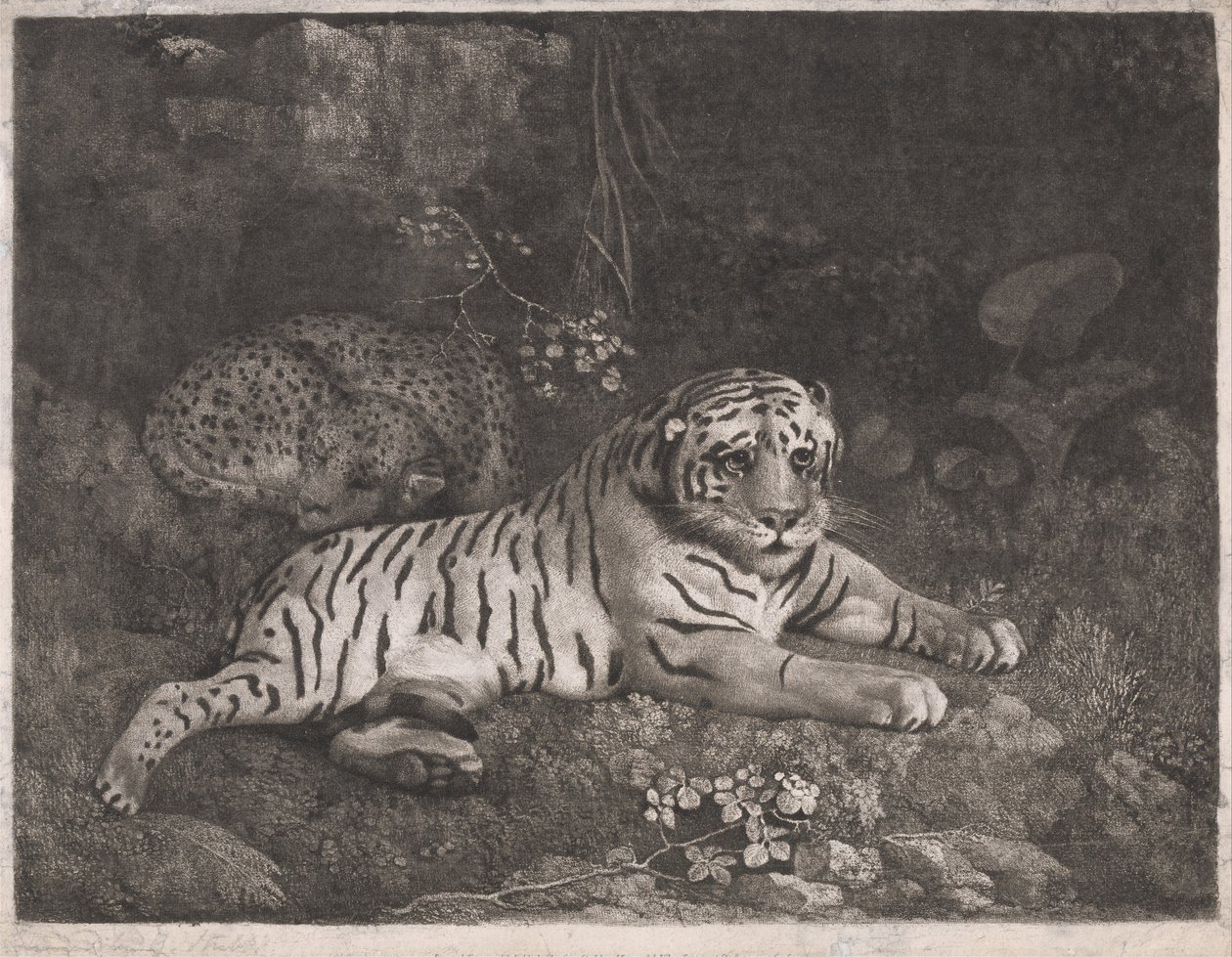 Una tigre e un leopardo addormentato da George Stubbs