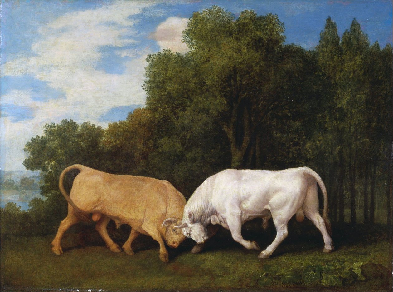 Tori che combattono da George Stubbs