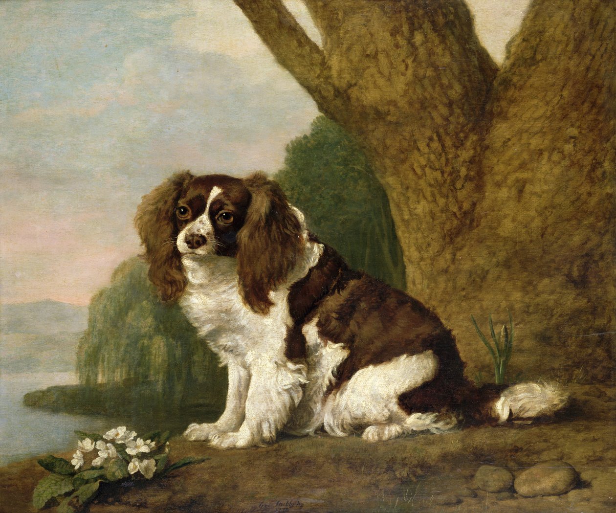 Fanny, uno spaniel marrone e bianco da George Stubbs