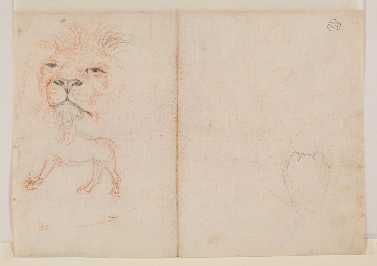 Testa di leone, verso, XVIII o XIX secolo da George Stubbs