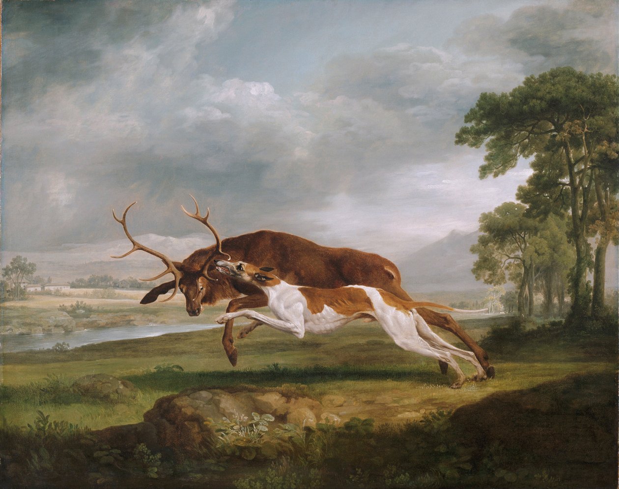Cane da caccia che insegue un cervo da George Stubbs