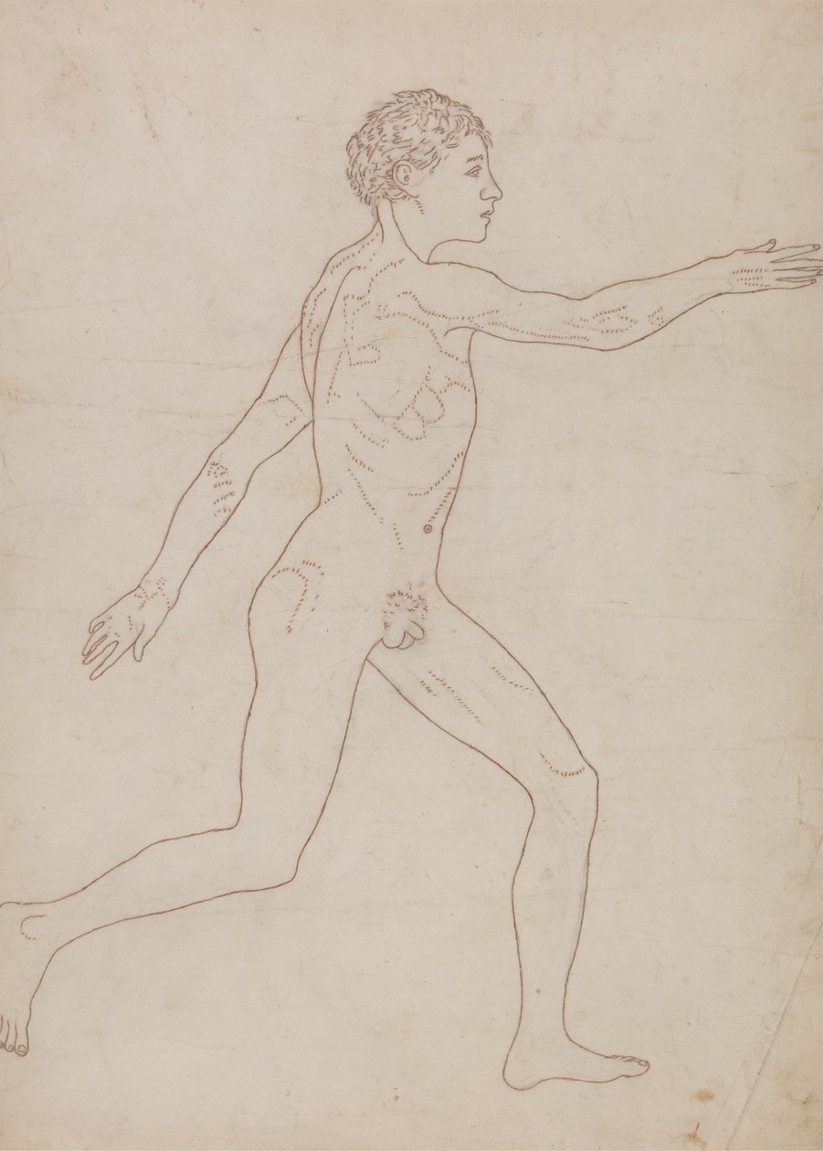Figura umana, vista laterale (Studio di contorno inverso della Tavola VIII) da George Stubbs
