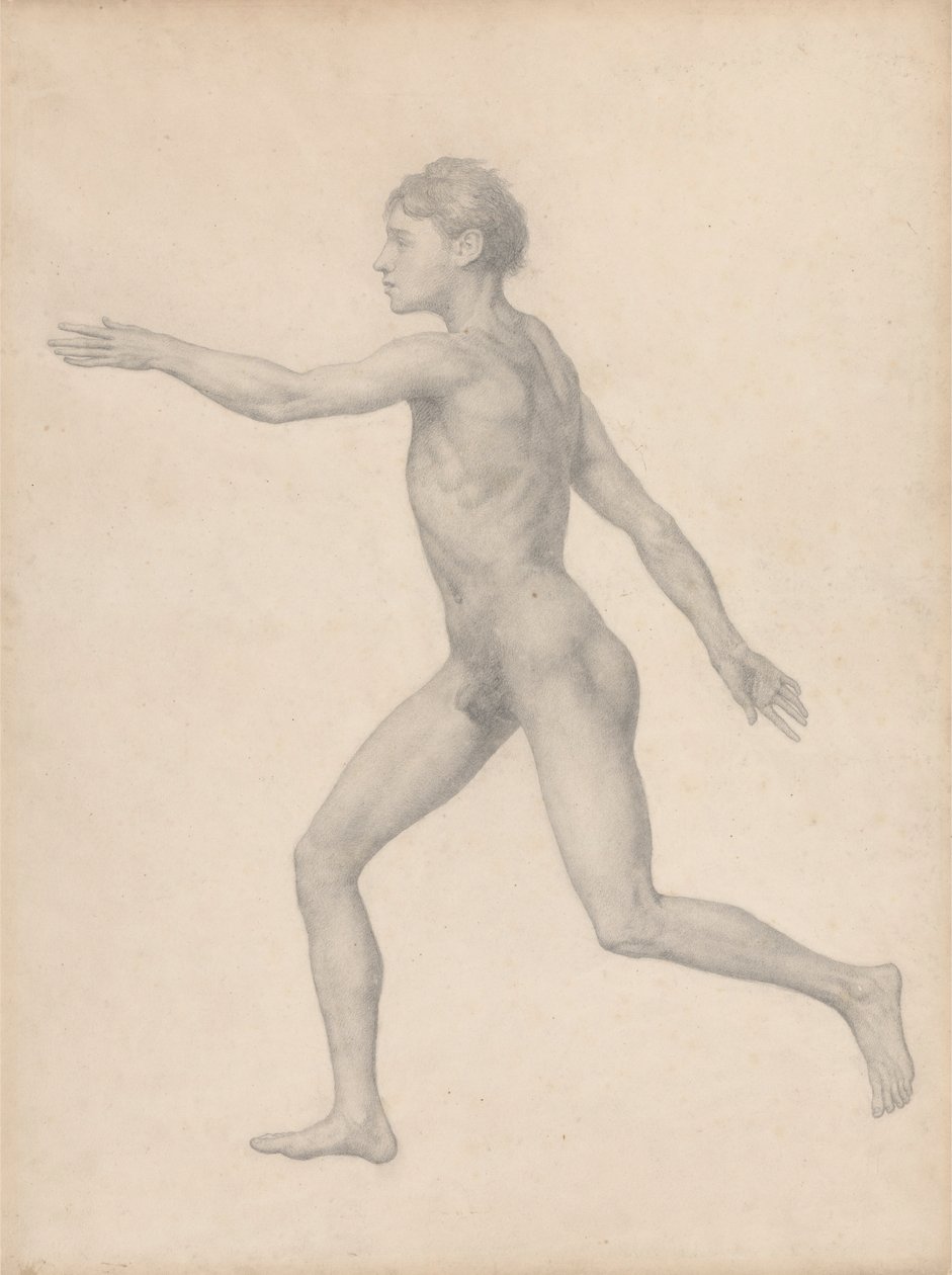 Figura umana, vista laterale, non dissezionata (Studio finito per Tavola VIII) da George Stubbs