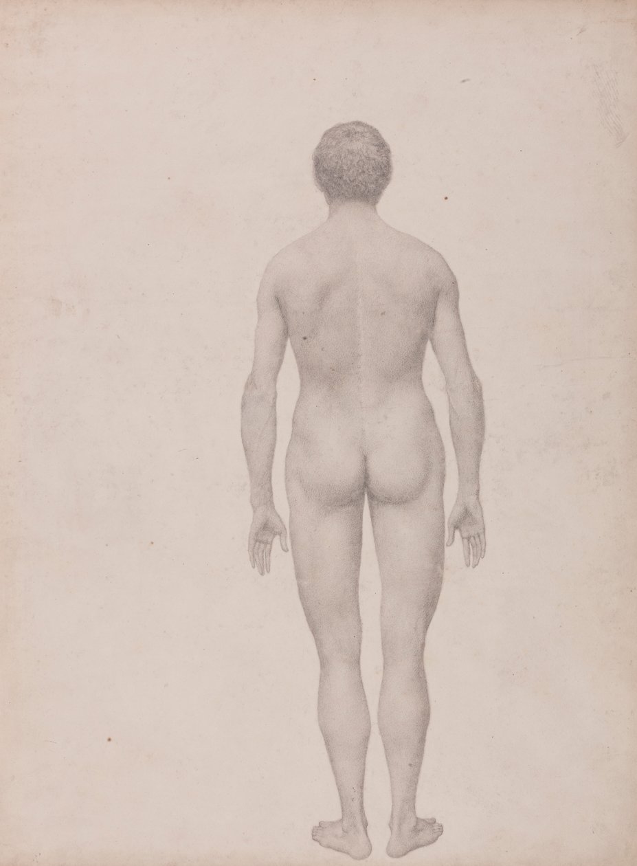 Figura Umana, Vista Posteriore, Non Dissezionata (Studio Finito per Tavola VII) da George Stubbs