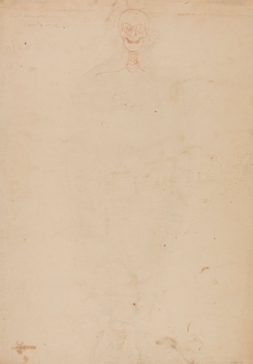 Scheletro umano, vista anteriore da George Stubbs