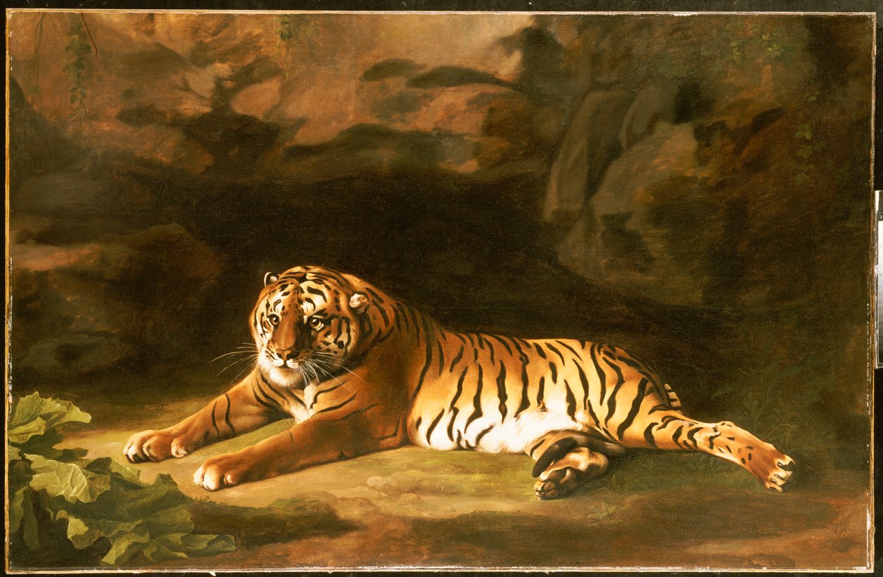 Ritratto della Tigre Reale, c.1770 da George Stubbs