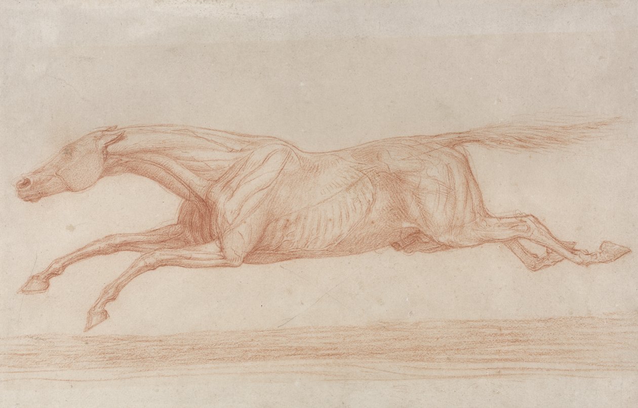 Studio di un cavallo da corsa in azione: galoppando a sinistra da George Stubbs