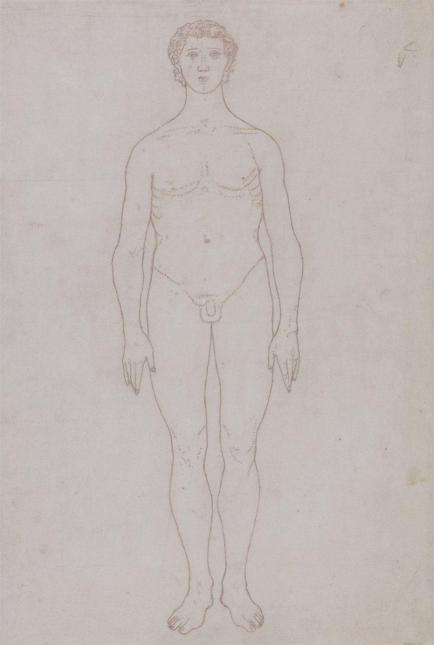 Studio della figura umana, vista anteriore (disegno di contorno per la tavola VI) da George Stubbs