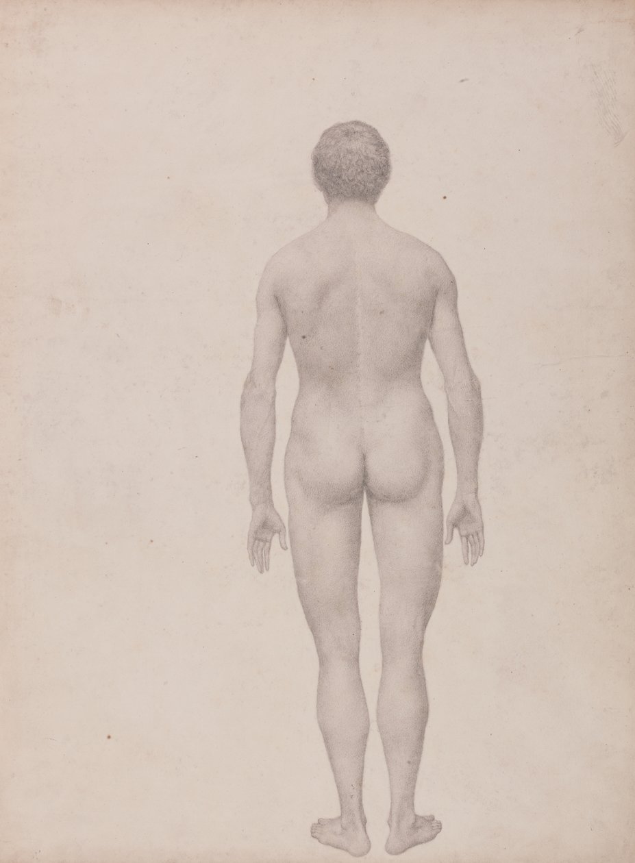 Studio della figura umana, vista posteriore, non dissezionata, studio finito per la tavola VII, da A Comparative Anatomical Exposition of the Structure of the Human Body with that of a Tiger and a Common Fowl da George Stubbs