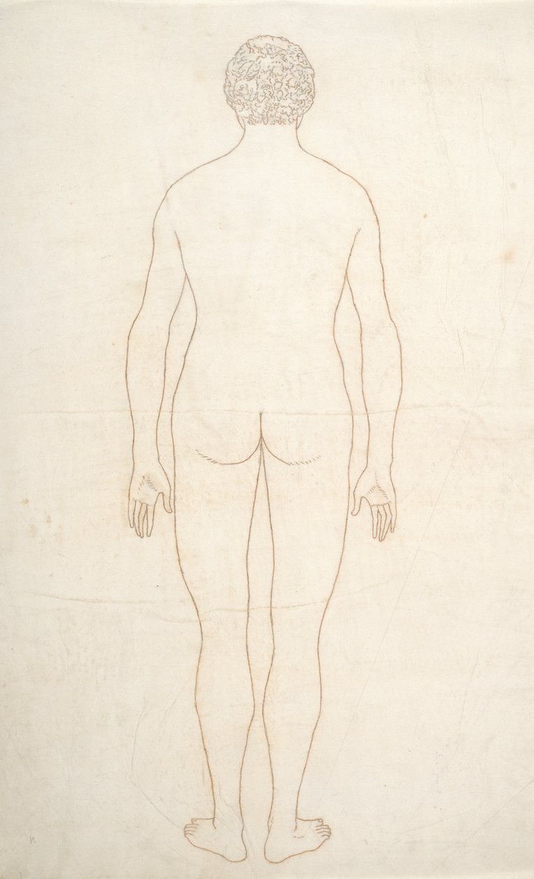 Studio della figura umana, vista posteriore, da A Comparative Anatomical Exposition of the Structure of the Human Body with that of a Tiger and a Common Fowl, c.1795-1806 da George Stubbs