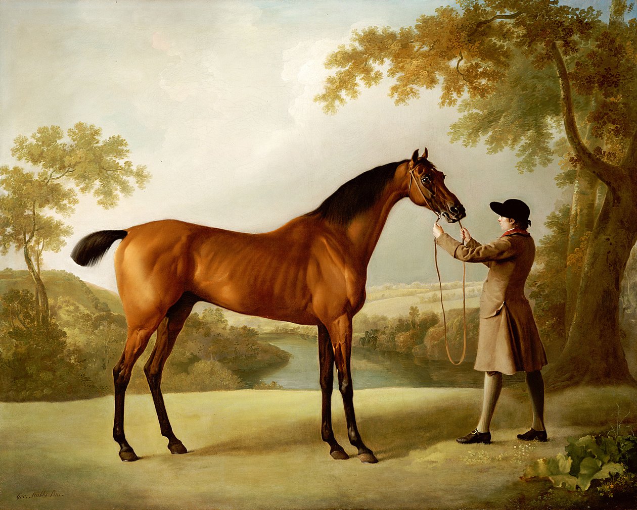 Tristram Shandy, un cavallo da corsa baio tenuto da un groom in un ampio paesaggio, c.1760 da George Stubbs
