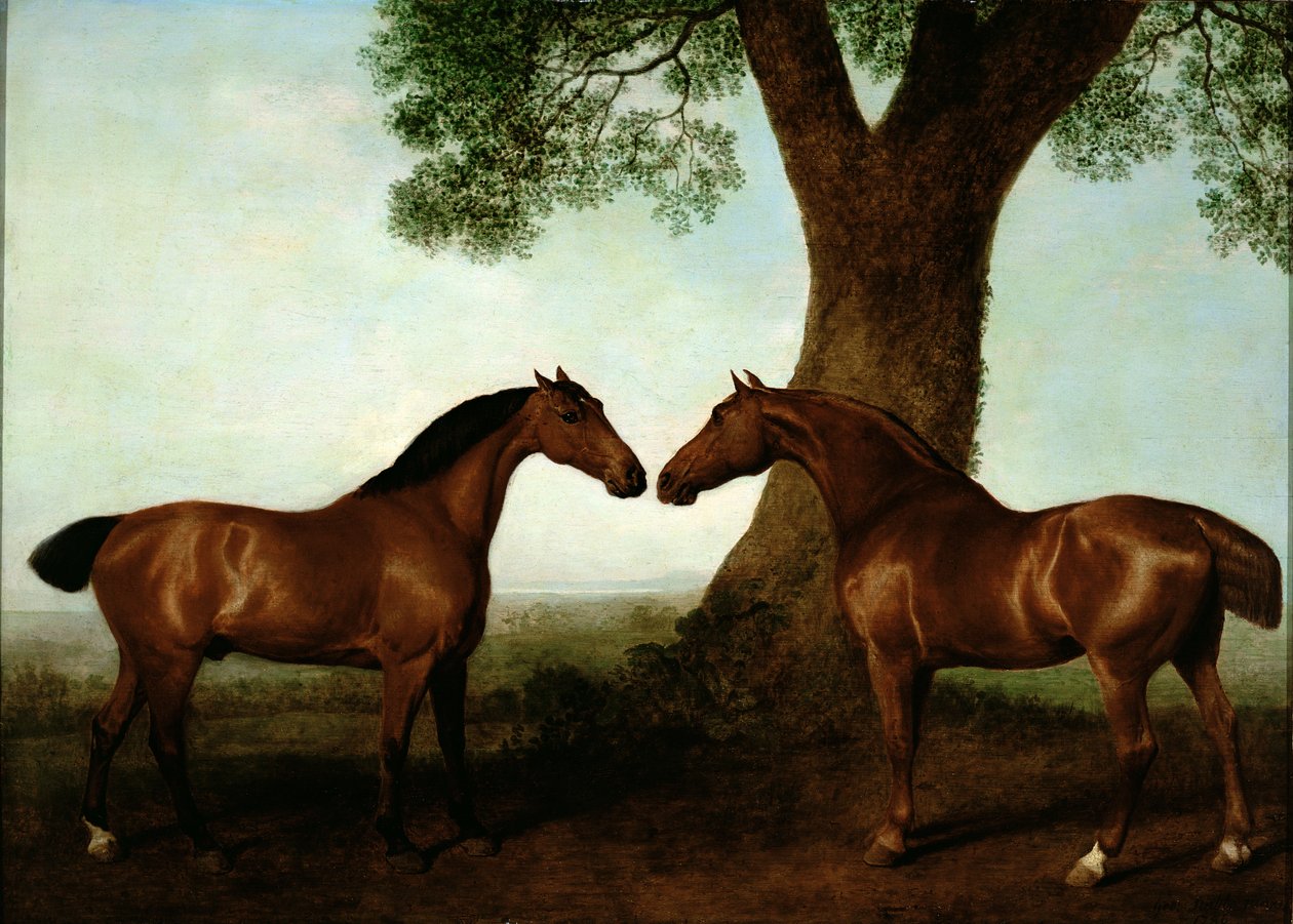 Due cacciatori baio vicino a un albero, 1786 da George Stubbs