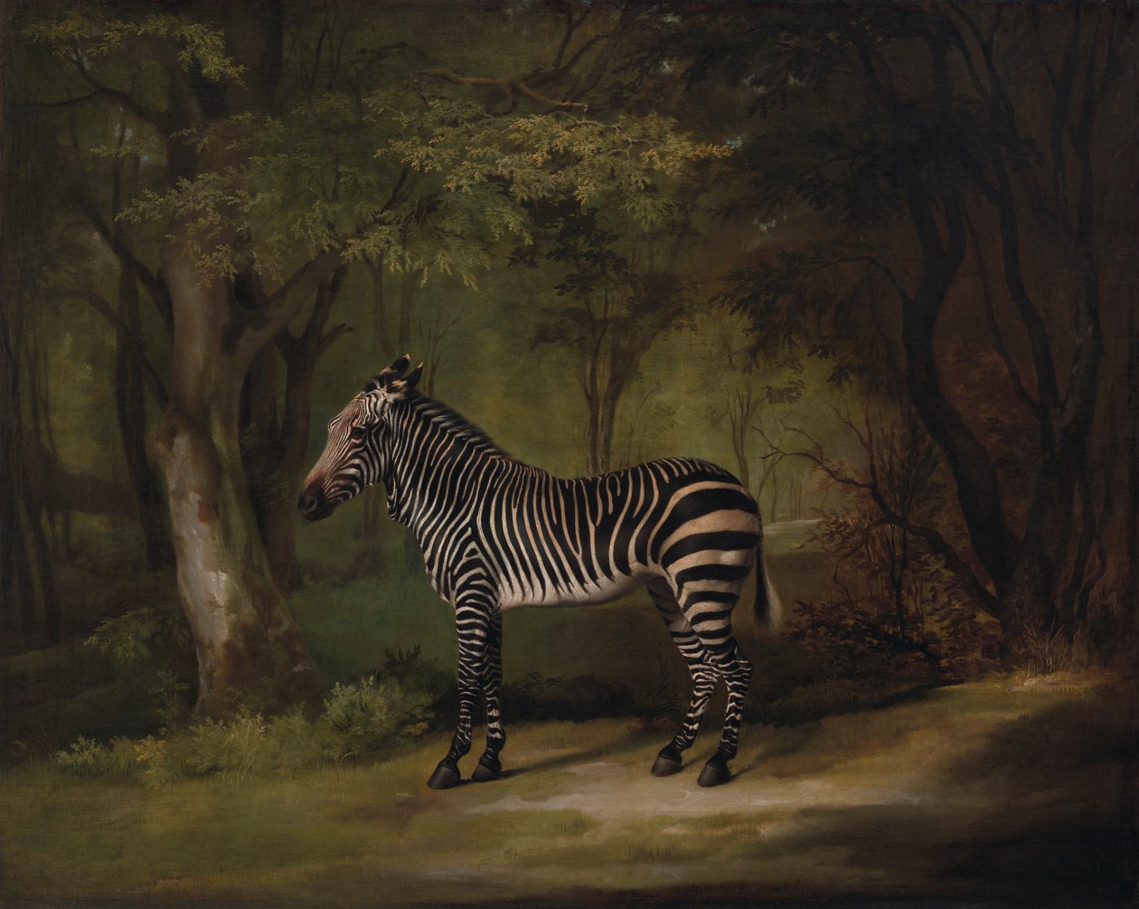 Zebra da George Stubbs