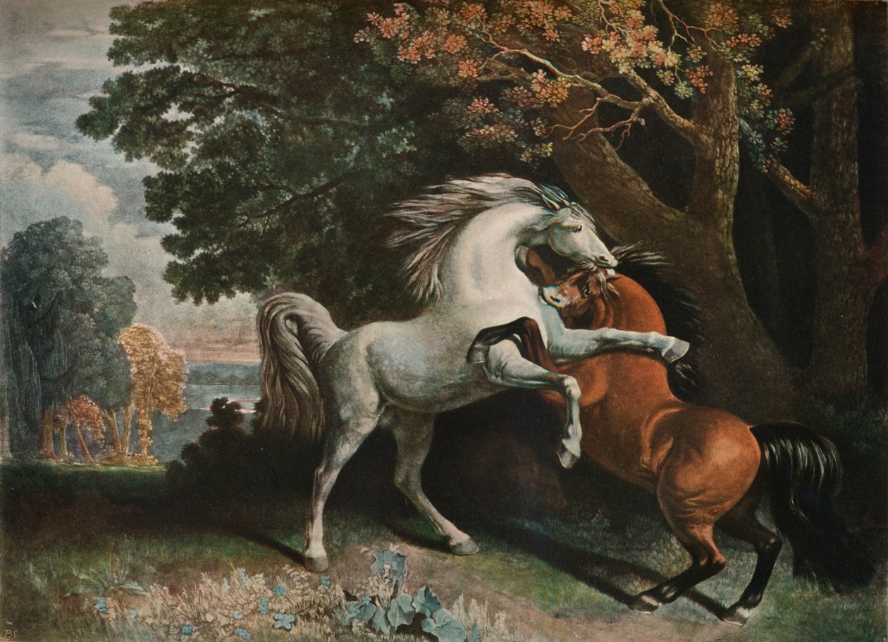 Cavalli che combattono, XVIII secolo, 1902 da George Townley Stubbs