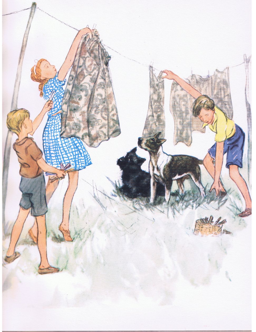 Appendere il bucato al filo - Nobby il Bull Terrier e Ferdinand l